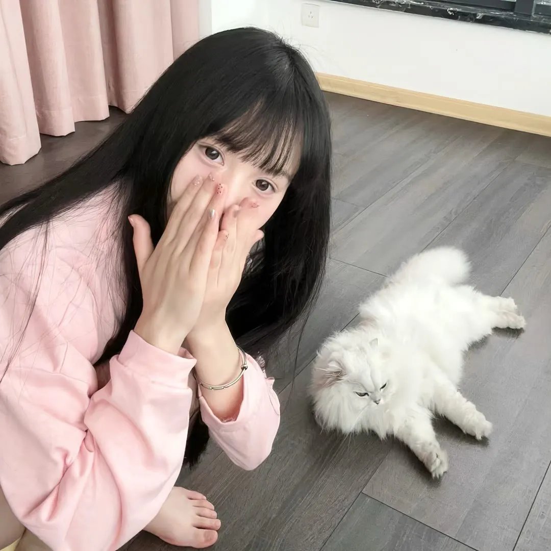 派特森与芬达猫
